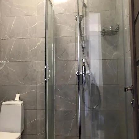 Апартаменты Центр Солнечное Закарпатье Polyana  Exterior photo
